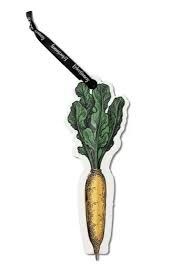 ECLECTIONERY FLAT PENS CARROT