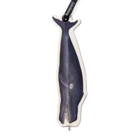 ECLECTIONERY FLAT PENS WHALE