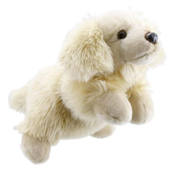 GOLDEN RETRIEVER FULL-BODIED ANIMAL