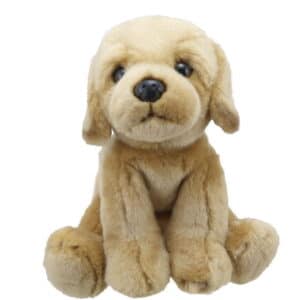 LABRADOR YELLOW WILBERRY FAVOURITES