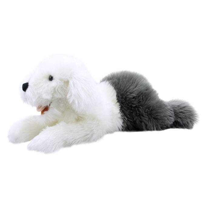 OLD ENGLISH SHEEPDOG PLAYFUL PUPPIES