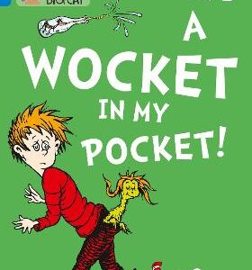 BIG CAT THERE'S A WOCKET IN MY POCKET BL