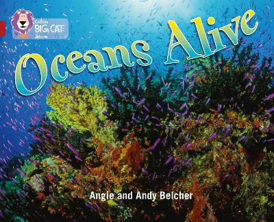 Oceans Alive: Band 14/Ruby (Collins Big Cat)