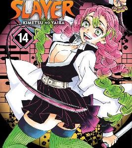 Demon Slayer: Kimetsu No Yaiba, Vol. 14: Volume 14