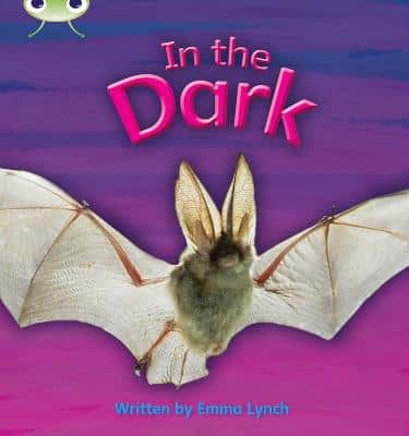 Bug Club Phonics - Phase 3 Unit 10: In The Dark