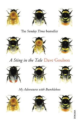 A Sting In The Tale: My Adventures With Bumblebees