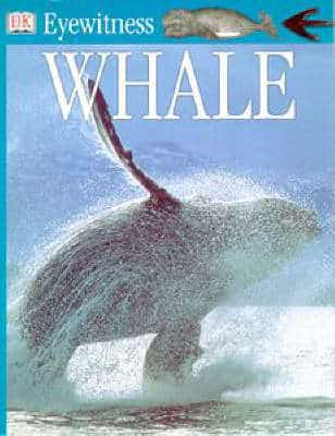 Whale