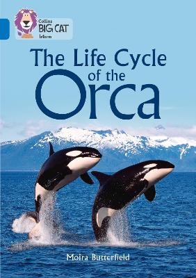 The Life Cycle Of The Orca: Band 16/Sapphire (Collins Big Cat)
