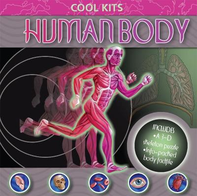 Human Body