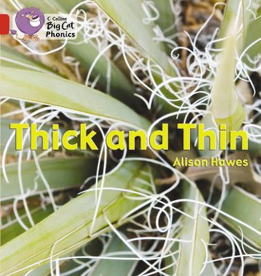 BIG CAT PHONICS THICK AND THIN RED 2B