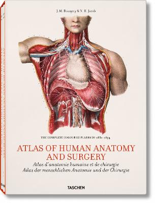 Bourgery. Atlas Of Human Anatomy And Surgery