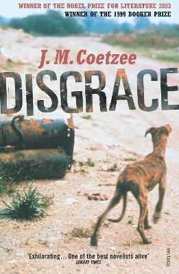 Disgrace: A Bbc Radio 4 Good Read