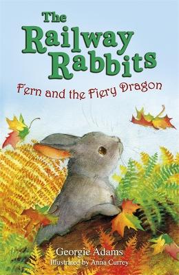 Railway Rabbits: Fern And The Fiery Dragon: Book 7