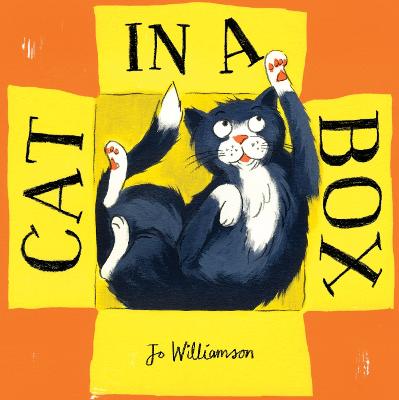 Cat In A Box