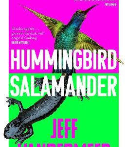Hummingbird Salamander