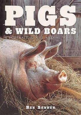 Pigs And Wild Boars