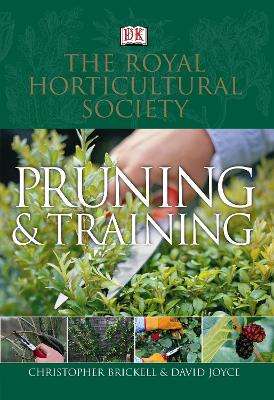 Rhs Pruning And Training