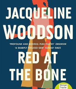 Red At The Bone: Longlisted For The Women's Prize For Fiction 2020