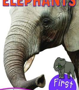 First Q&A Elephants