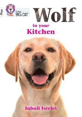Wolf In Your Kitchen: Band 10+/White Plus (Collins Big Cat)