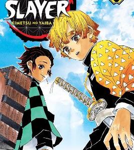 Demon Slayer: Kimetsu No Yaiba, Vol. 3: Volume 3