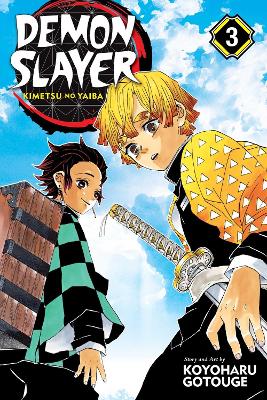 Demon Slayer: Kimetsu No Yaiba, Vol. 3: Volume 3