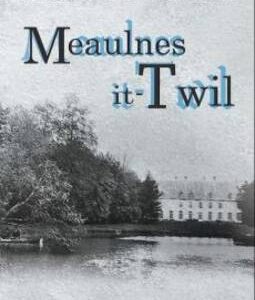 Meaulnes It-Twil: Rumanz Ta' Alain Fournier