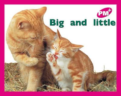 Big And Little