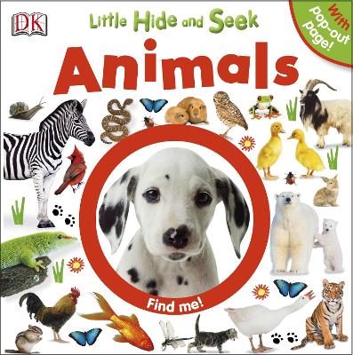 Little Hide And Seek Animals