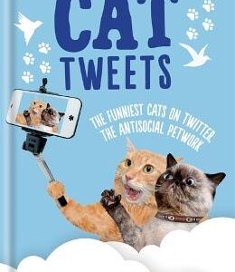 Cat Tweets