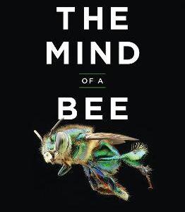 The Mind Of A Bee