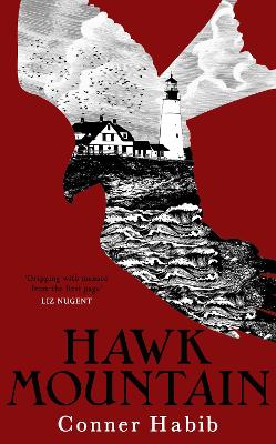 Hawk Mountain: A Highly Suspenseful And Unsettling Literary Thriller