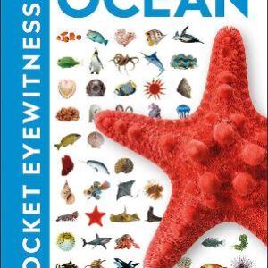 Ocean: Facts At Your Fingertips