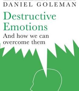 Destructive Emotions