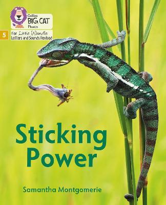 Sticking Power: Phase 5 Set 1 (Big Cat Phonics For Little Wandle Letters And Sounds Revised)
