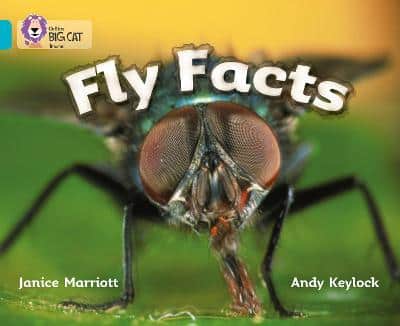 Fly Facts: Band 07/Turquoise (Collins Big Cat)