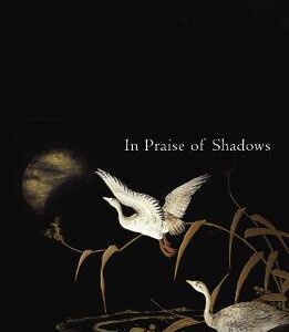 In Praise Of Shadows