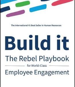 Build It: The Rebel Playbook For World-Class Employee Engagement