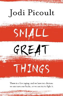 Small Great Things: The Bestselling Novel You Won't Want To Miss