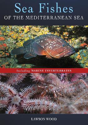 Sea Fishes Of The Mediterranean Including Marine Invertebrates