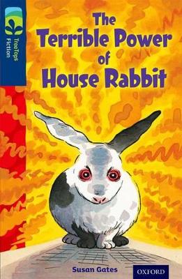 Oxford Reading Tree Treetops Fiction: Level 14 More Pack A: The Terrible Power Of House Rabbit