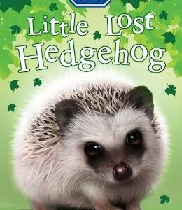 Little Lost Hedgehog