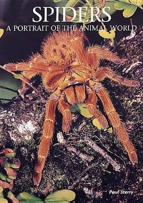 Spiders: A Portrait Of The Animal World