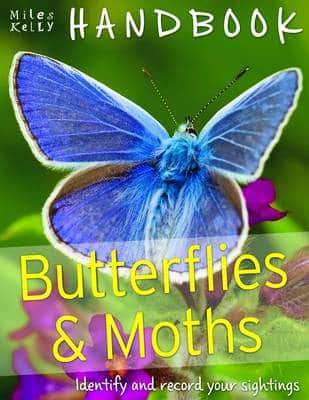Handbook P/B Butterflies & Moths