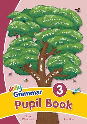 Grammar 3 Pupil Book: In Precursive Letters (British English Edition)