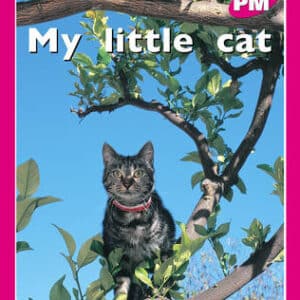 My Little Cat