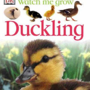 Duckling