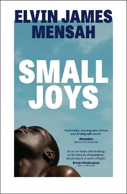 Small Joys: A Buzzfeed 'Amazing New Book You Need To Read Asap'