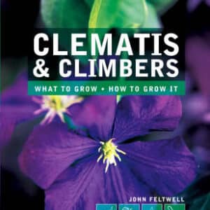 Clematis And Climbers