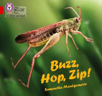 Collins Big Cat Phonics For Letters And Sounds - Buzz, Hop, Zip!: Band 02A/Red A